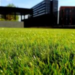 How to stop water runoff from neighbor's yard