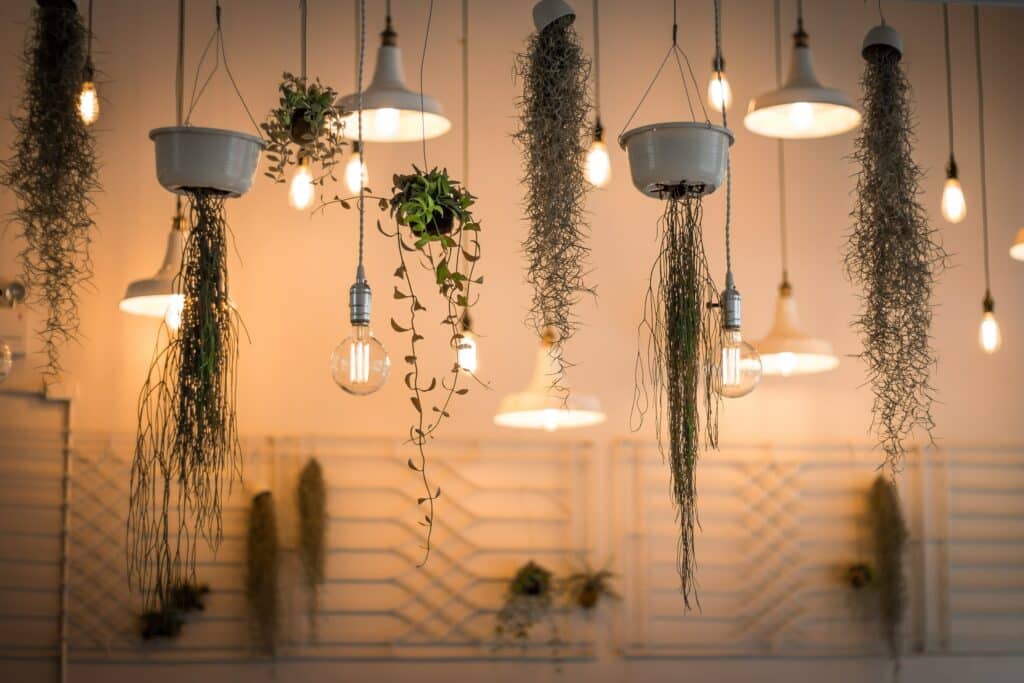 Why are Lamps so Expensive?