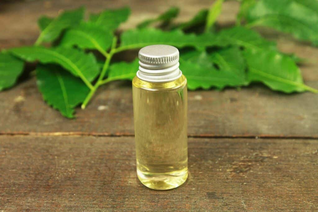 What Plants Not To Use Neem Oil On