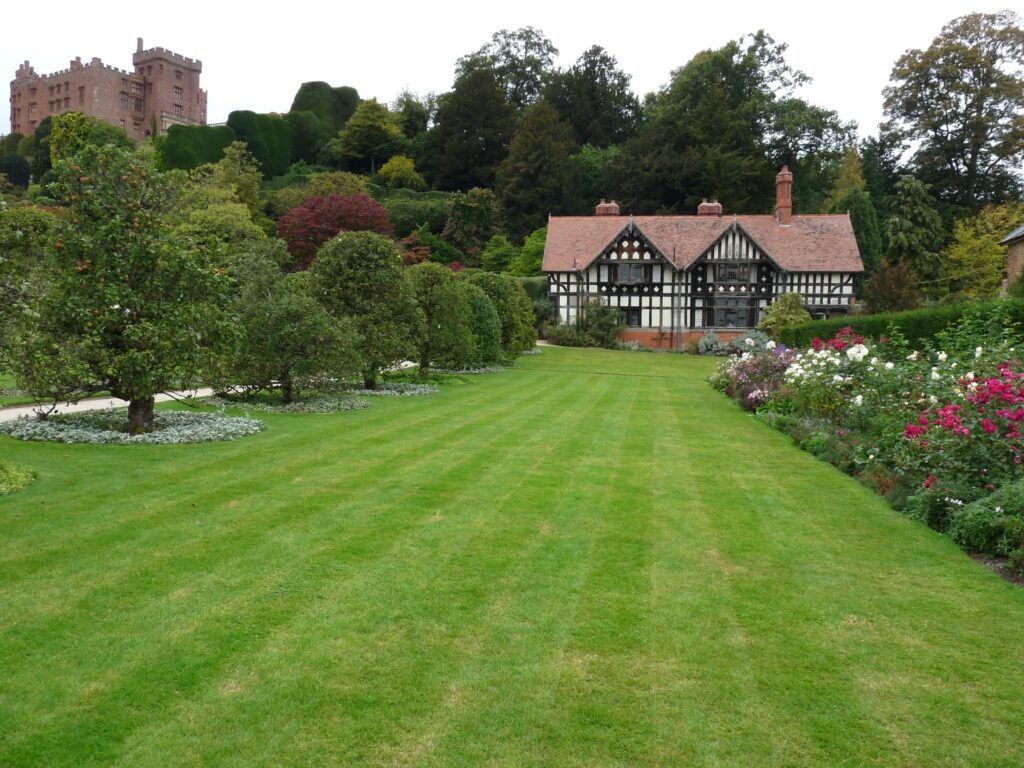 Lawn Looks Bad After Dethatching