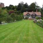 Lawn Looks Bad After Dethatching