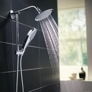 Moen Showerhead Maintenance