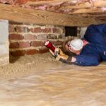 Should I Renew my Termite Warranty?