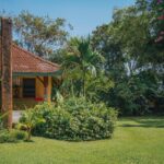 How to Hide Sewer Cleanout in the Yard