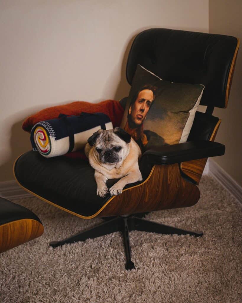 Best Eames Chair Replica