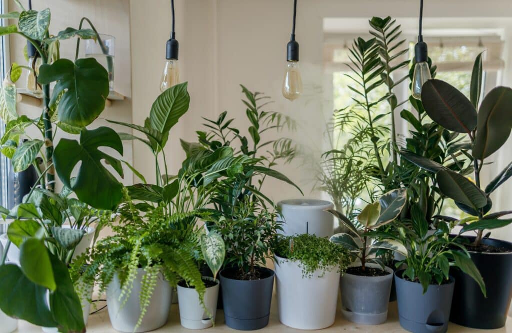 Does Home Depot Deliver Plants?