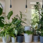 Does Home Depot Deliver Plants?