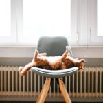 Can You Put Furniture In Front Of A Radiator?