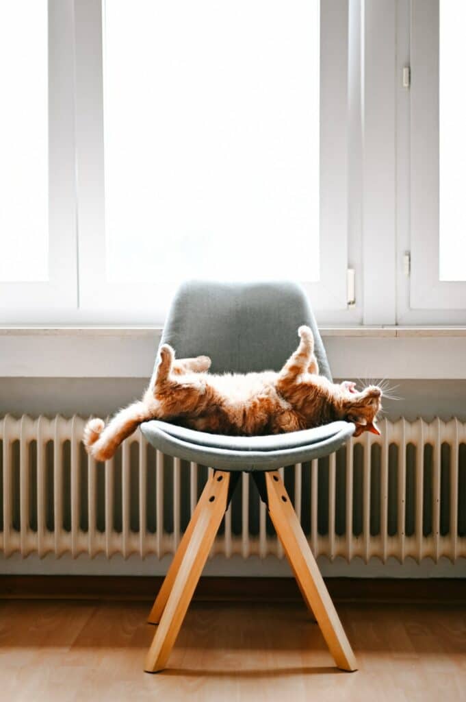 Can You Put Furniture In Front Of A Radiator?