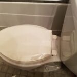 Kohler Almond Vs Biscuit