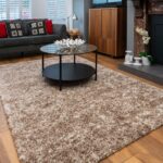 Living Room Colors with Brown Carpet
