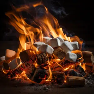 Roasting marshmallows Duraflame logs