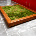 Moss Bath Mat Pros And Cons