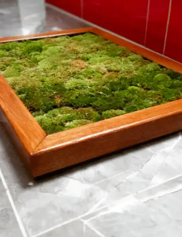 Moss Bath Mat Pros And Cons