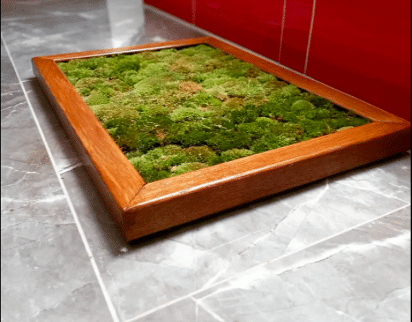 Moss Bath Mat Pros And Cons