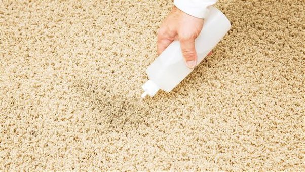 How to Fix a Matted Carpet in High Traffic Areas