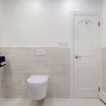 Toilet Flushes but Wastes Come Back