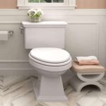 American Standard Titan Toilet Problems