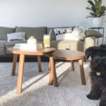 6 lb carpet pad vs 8lb carpet pad