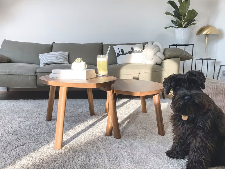 6 lb carpet pad vs 8lb carpet pad