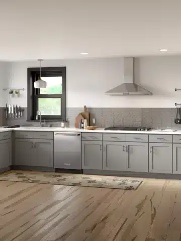 Cabinets To Go vs Home Depot