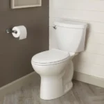 Eljer Diplomat Toilet Reviews