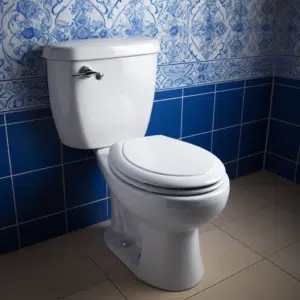 Toilet Seat Residue