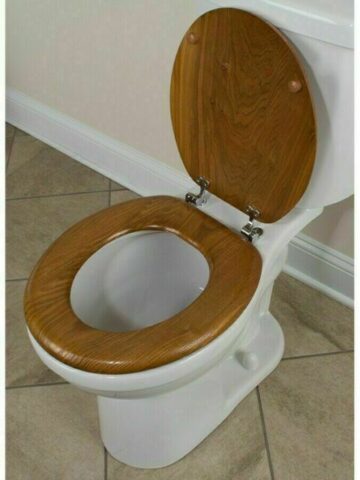 Wood Toilet Seat vs Plastic