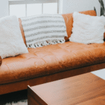 Poly And Bark vs Article