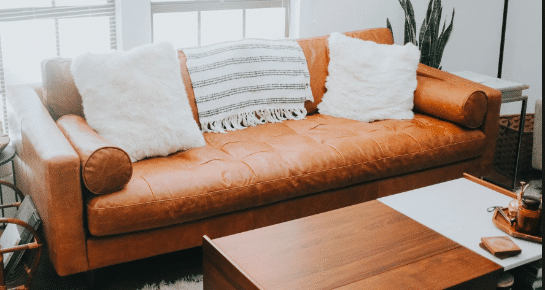 Poly And Bark vs Article