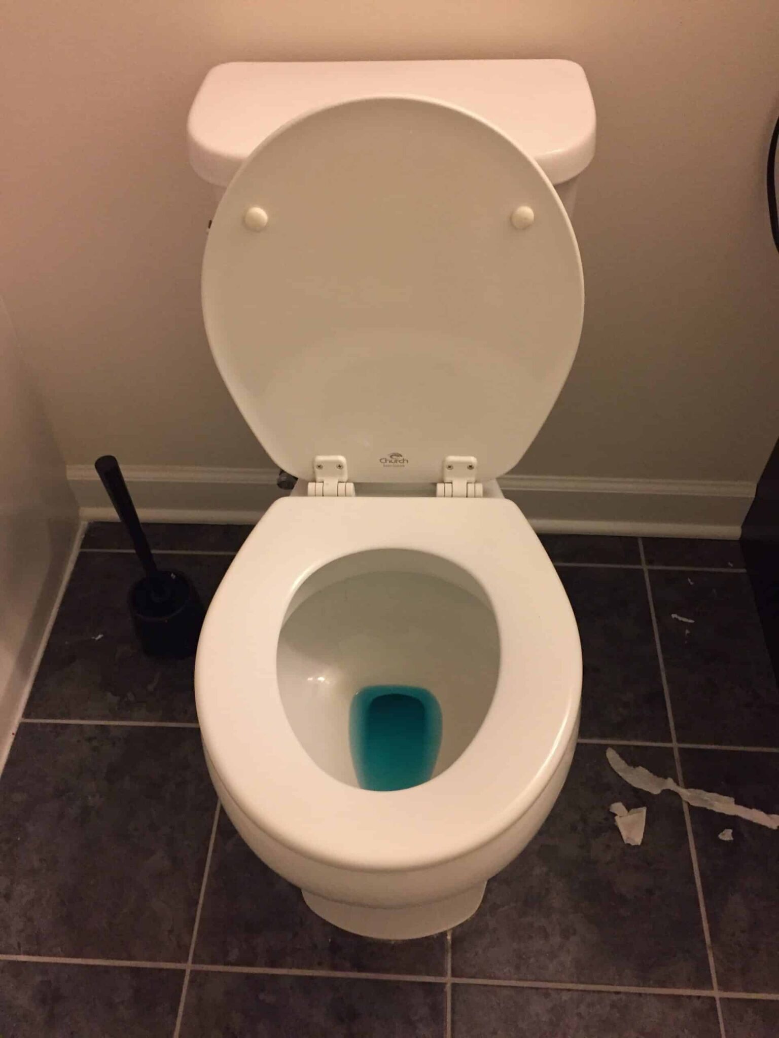 How To Get Rid Of Blue Toilet Water