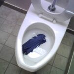 Will A Toilet Unclog Itself?