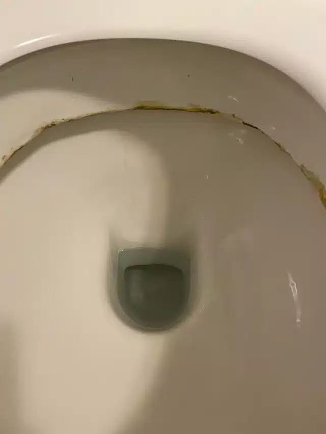 How to Remove Limescale From Toilet Below Waterline