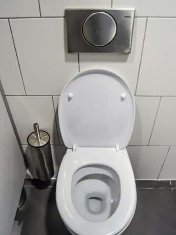 Toilet Seat Won’t Stay Up