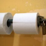 Kirkland Toilet Paper vs Charmin