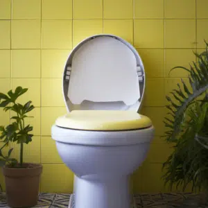 Toilet Seat Woes