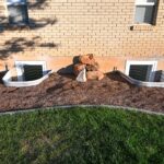 How Many Egress Windows are Required in a Basement?