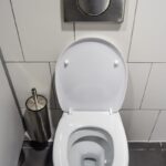Does Vinegar Damage Toilet Bowls?