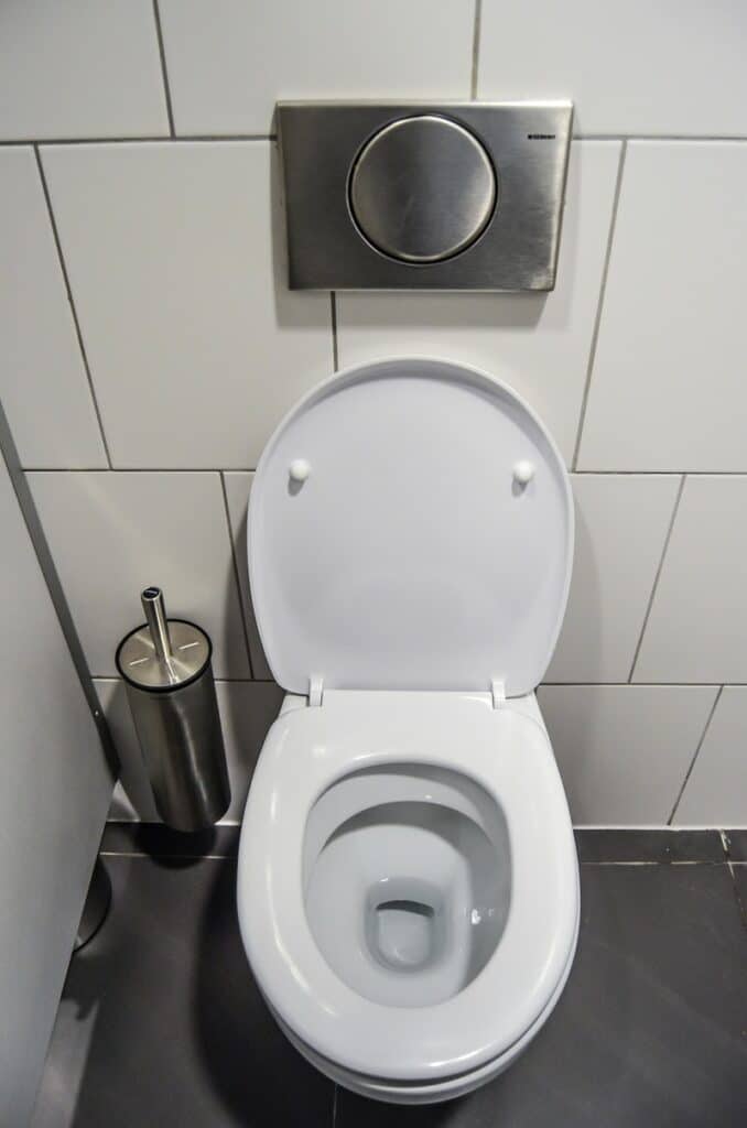 Does Vinegar Damage Toilet Bowls?