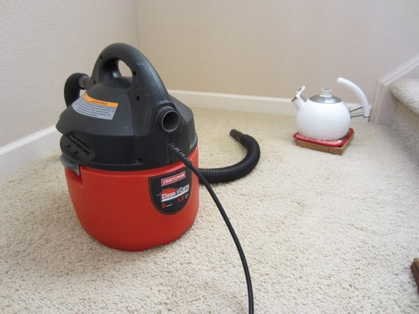 Can You Vacuum Wet Carpet?