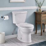 American Standard Champion 4 Toilet Problems
