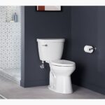 American Standard Champion 4 vs Kohler Cimarron