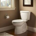 Eljer Diplomat Toilet Reviews