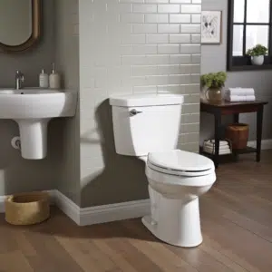 Replacing a Toilet